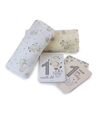 Bubba Blue Vanilla Playtime 2pk Muslin Wraps With Milestone Card