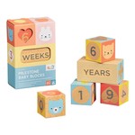 Petit Collage Wooden Baby Milestone Blocks