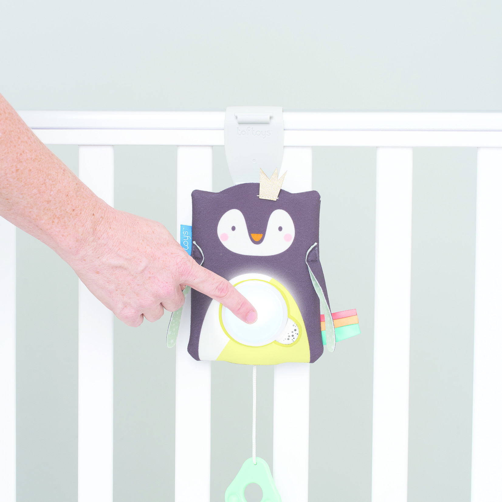 Taf Toys Prince Penguin Baby Soother