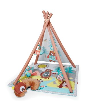 Skip Hop Camping Cub Activity Gym