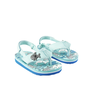 Earth Nymph Baby Boys Flip Flop Shark Friends Multi-SS