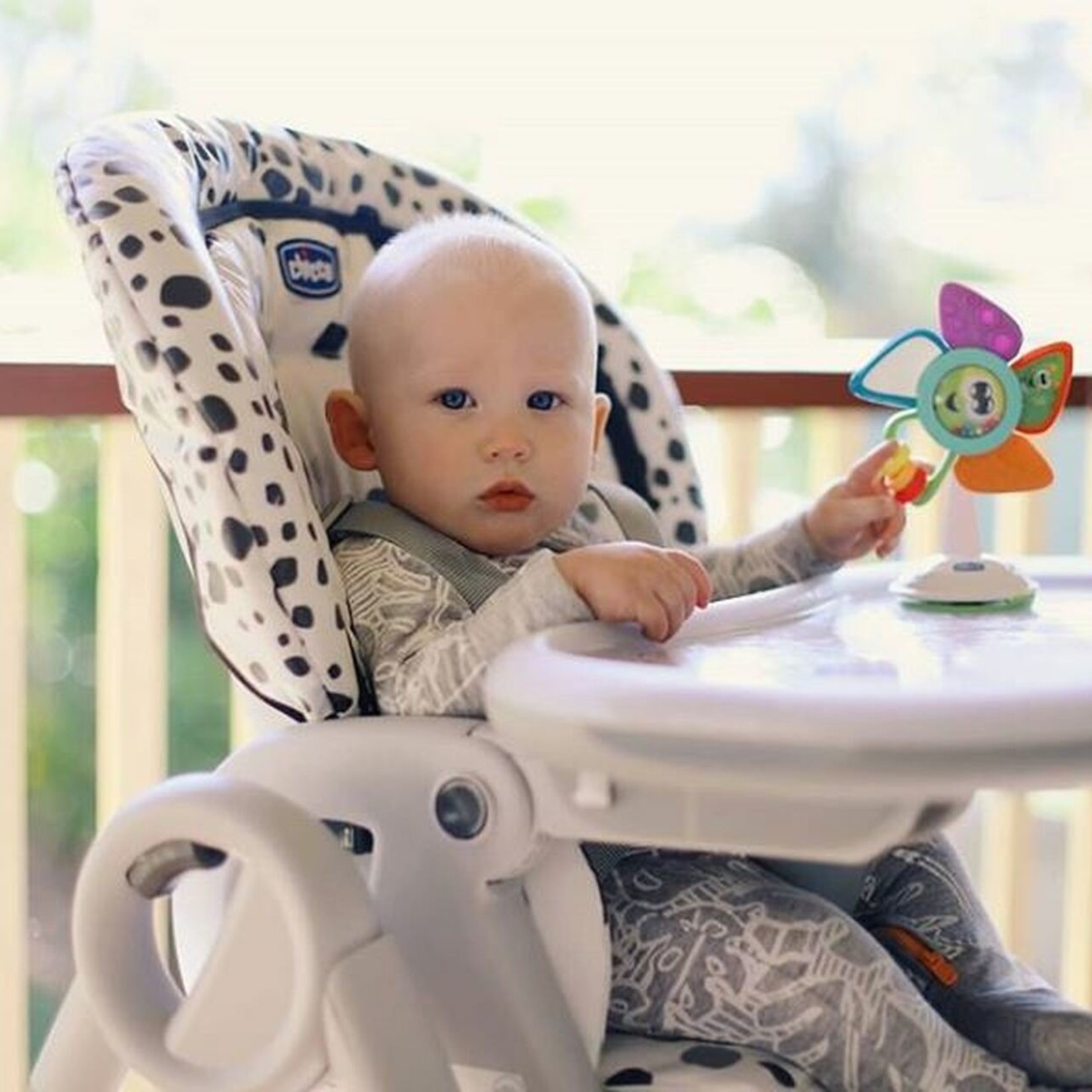 Chicco Polly Progres5 Highchair - Anthracite
