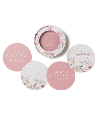 Snuggle Hunny Reversible Milestone Cards-Camille & Jewel Pink