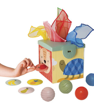 Taf Toys Magic Box