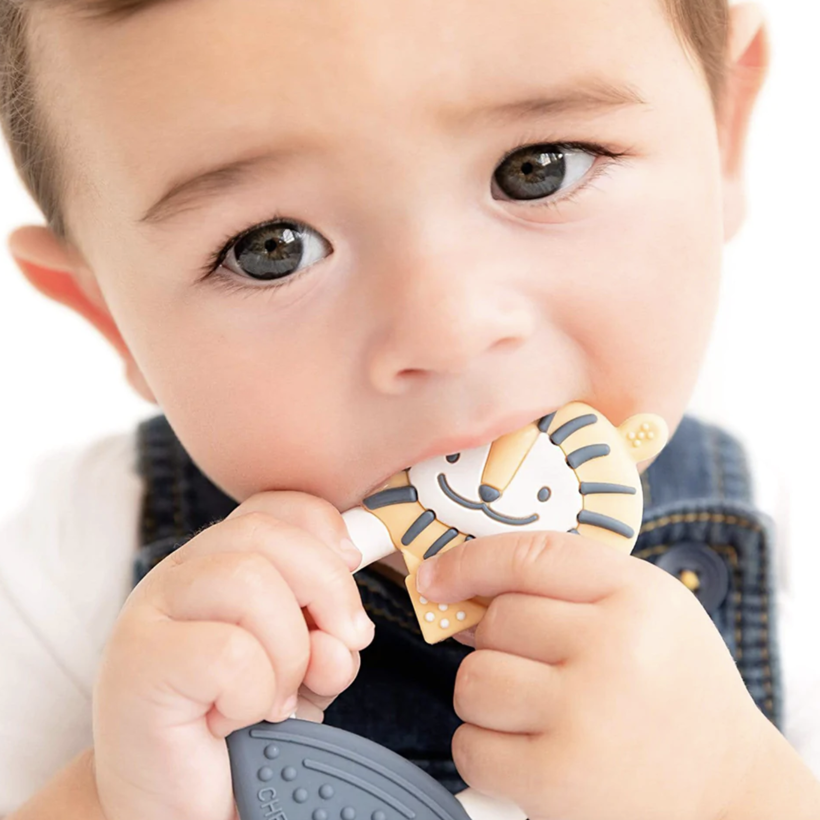 Cheeky Chompers Teether-Lion