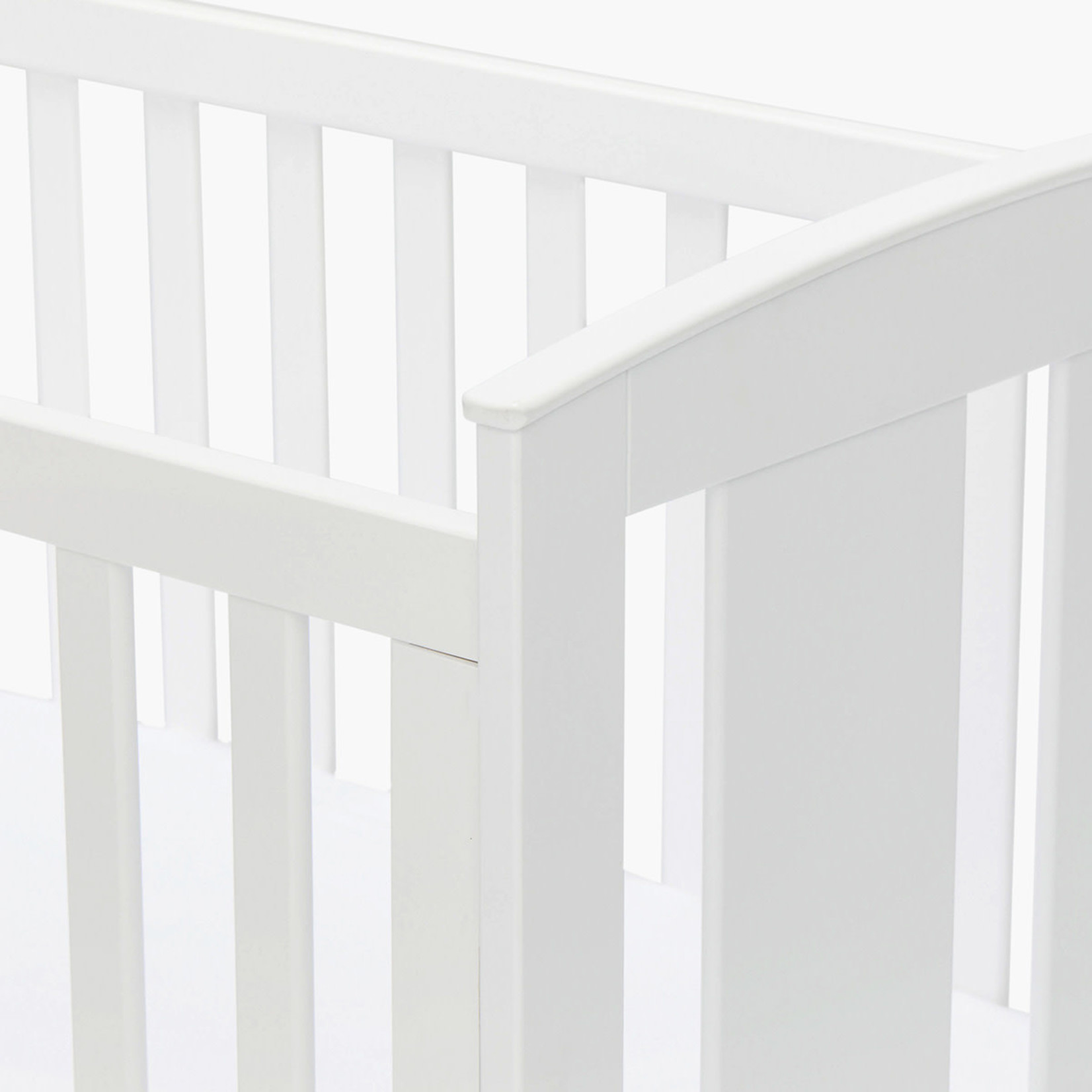 Julian cot (E104) Whole Bubs