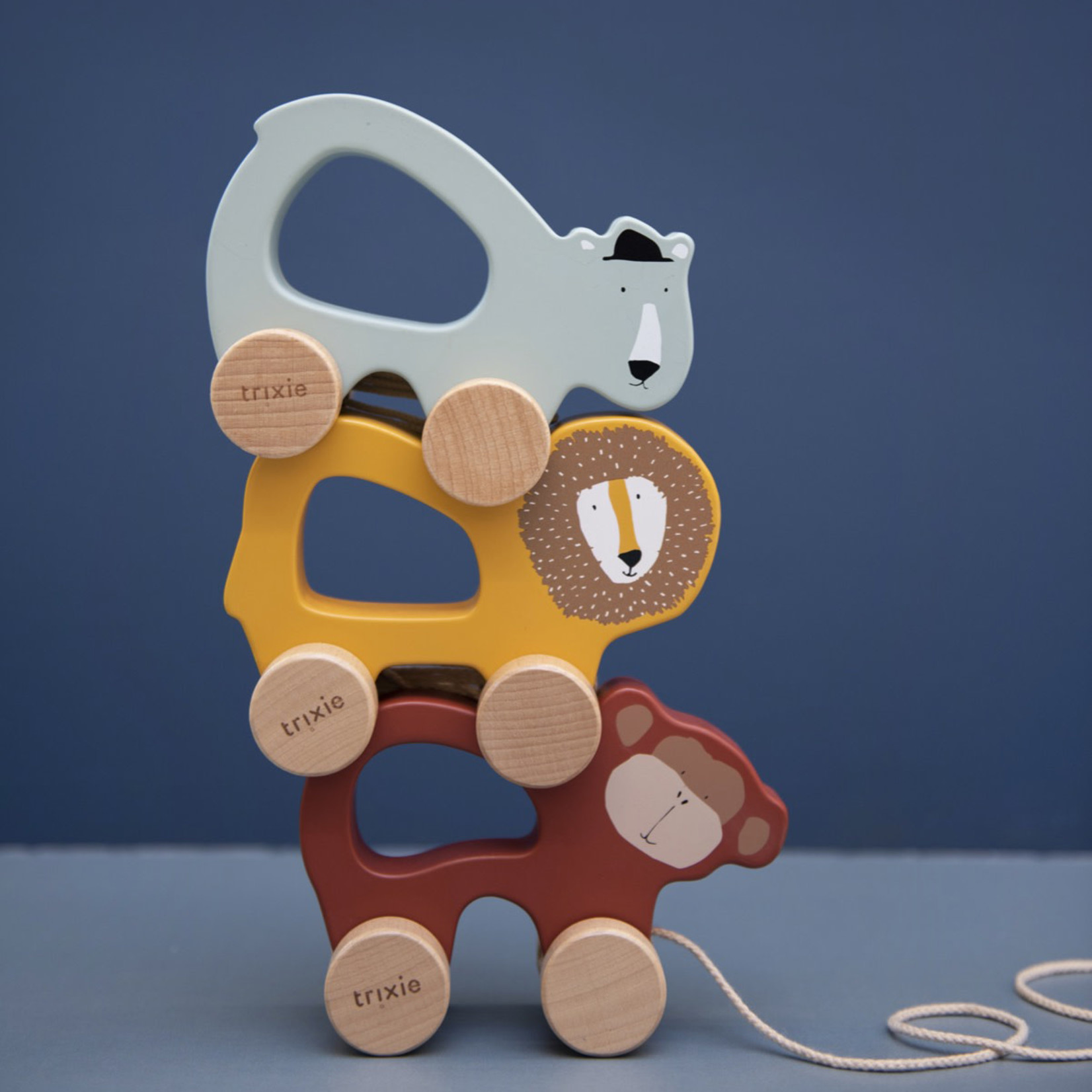 Trixie Wooden pull along toy-Mr. Monkey