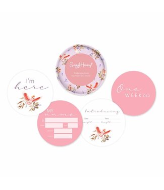 Snuggle Hunny Reversible Milestone Cards-Major Mitchell & Blush