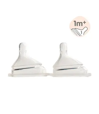 Hegen Teat Slow Flow (2-pack)(1 to 3 Months)