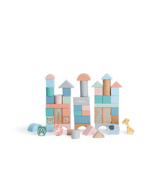 Bubble Wooden Activity Blocks