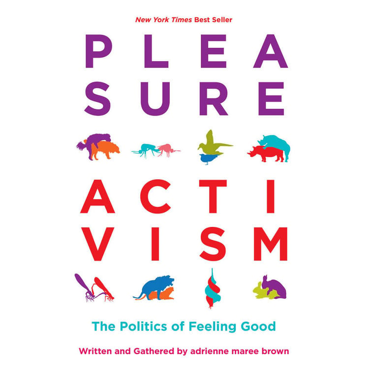 pleasure activism book