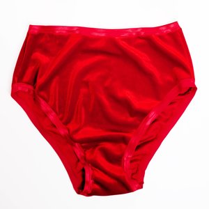 VELVET HIGH RISE PANTIES