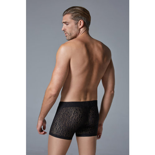 LUCA LEOPARD SHORTS LUCA LEOPARD SHORTS