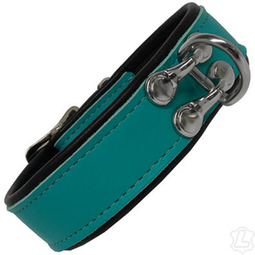 DOUBLE POST D-RING COLLAR -Teal DOUBLE POST D-RING COLLAR -Teal