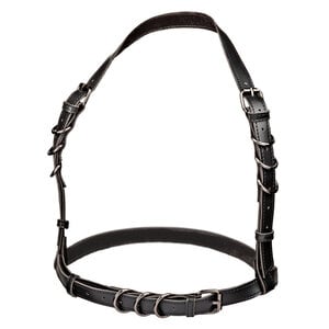 HALTER BUCKLE HARNESS