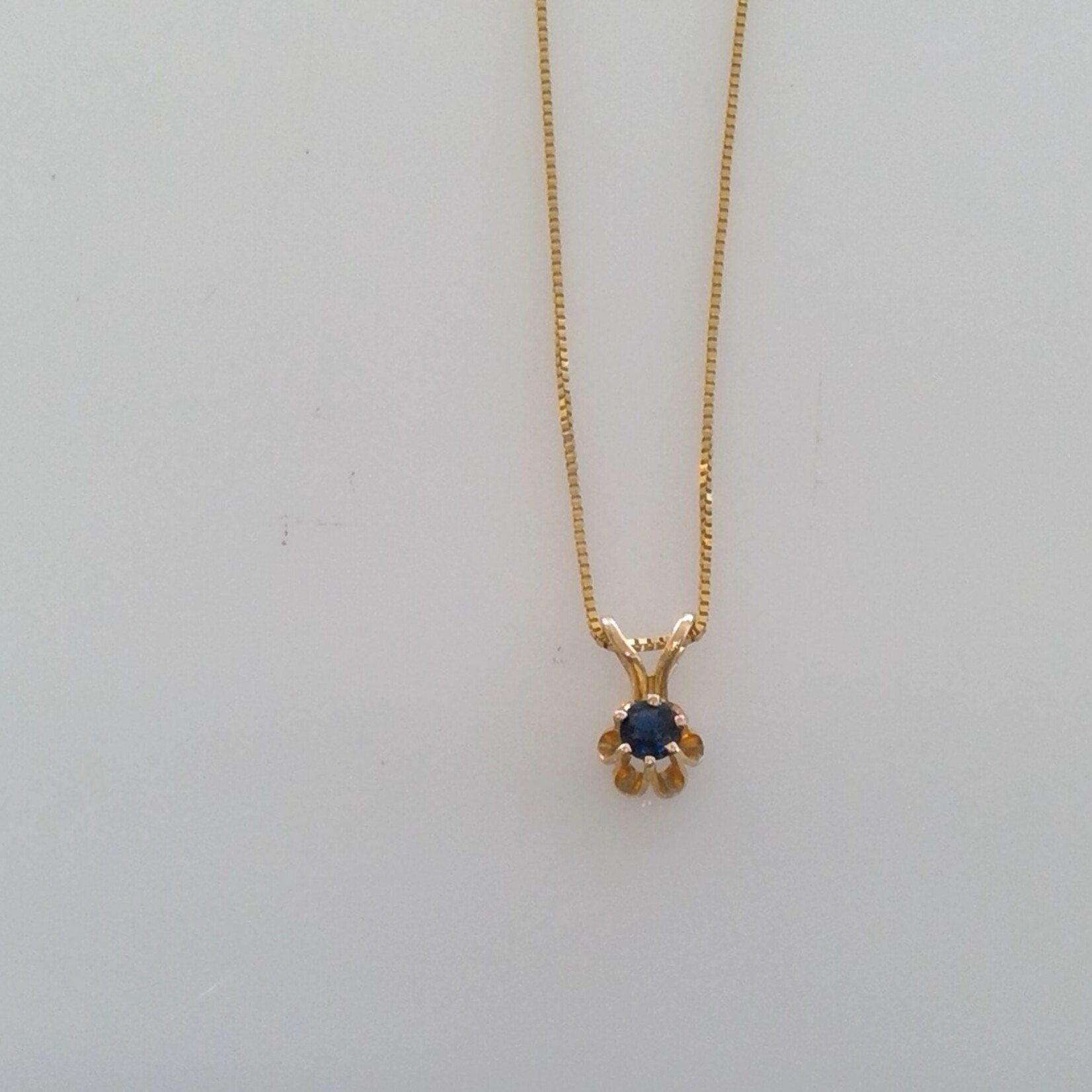 Franklin Jewelers 14kt Yellow Gold Box Chain with Sapphire Pendant