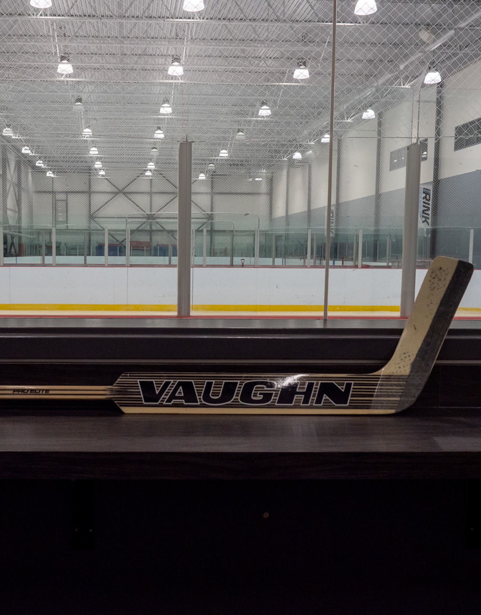 Vaughn VGS Pro Elite Goal Stick 24"