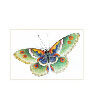 Small Butterfly Boxed Cards