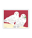 Snowy Owls Boxed Cards