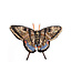 Swallowtail Butterfly Brooch