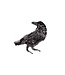 Raven Brooch Pin