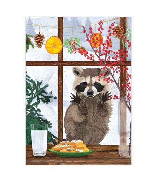 Raccoon Window Boxed Cards