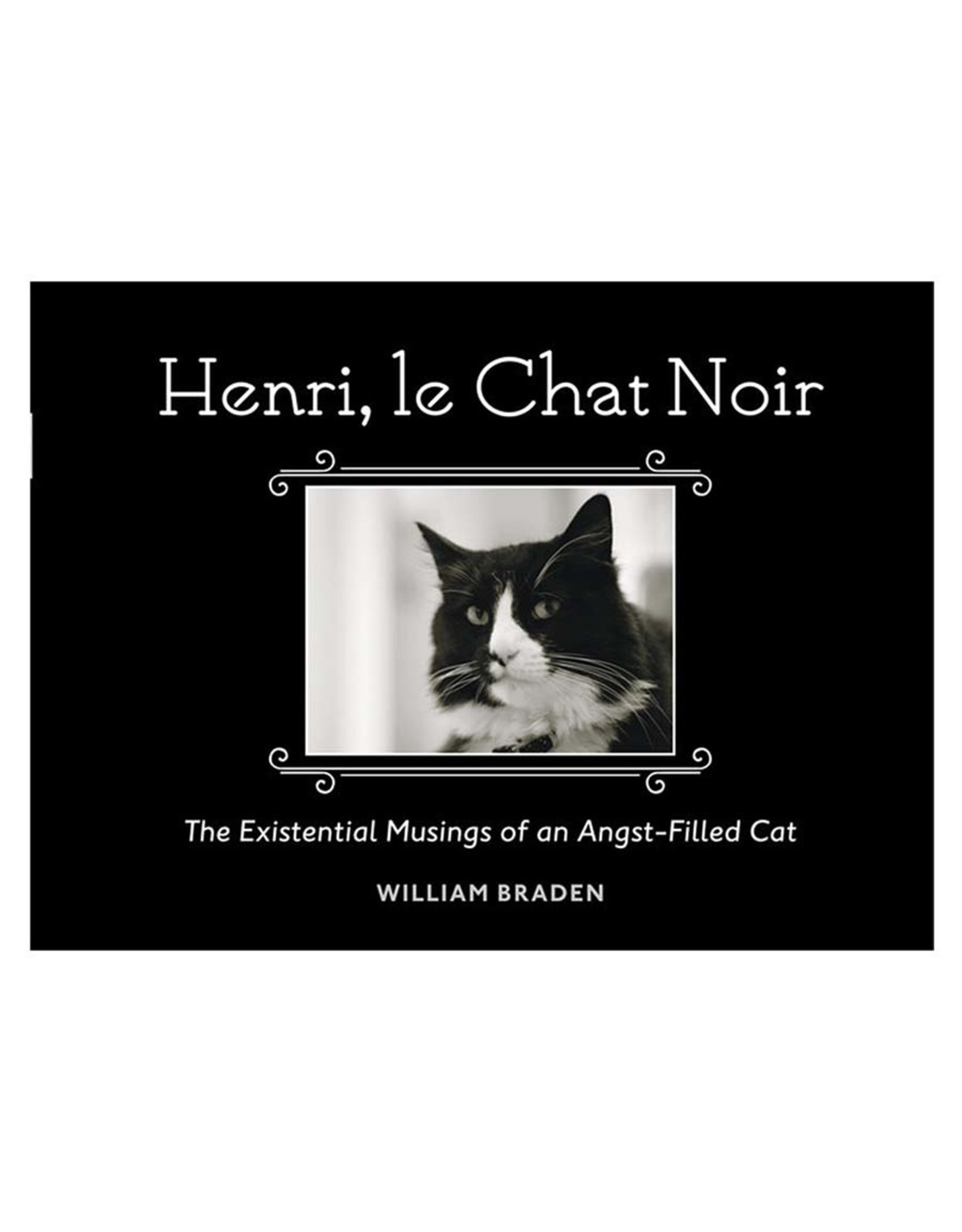 Henri, Le Chat Noir