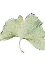 Large Gingko Leaf Pin
