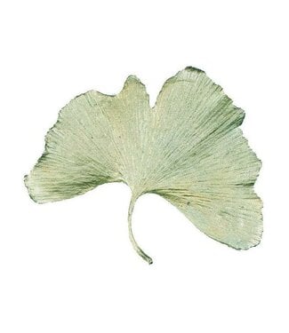 Large Gingko Leaf Pin