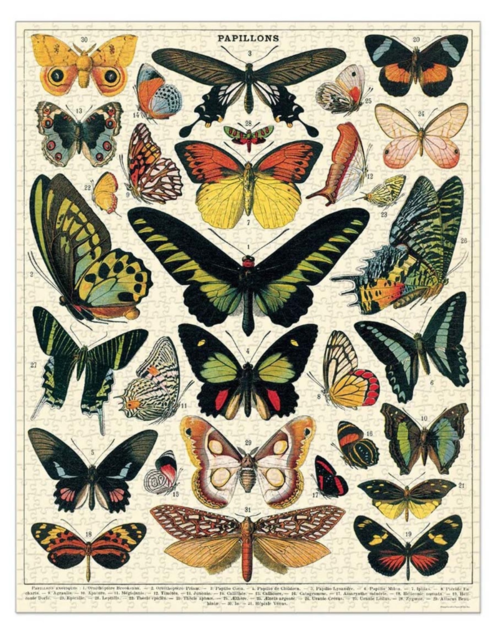 Butterflies Puzzle