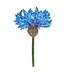 Blue Cornflower Brooch Pin