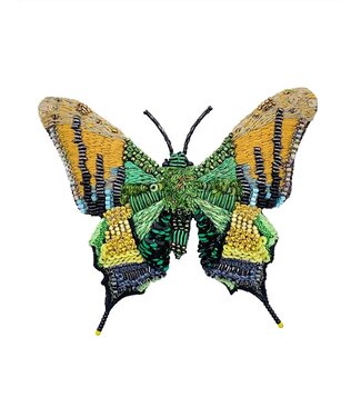 Emperor Of India Butterfly Brooch Pin