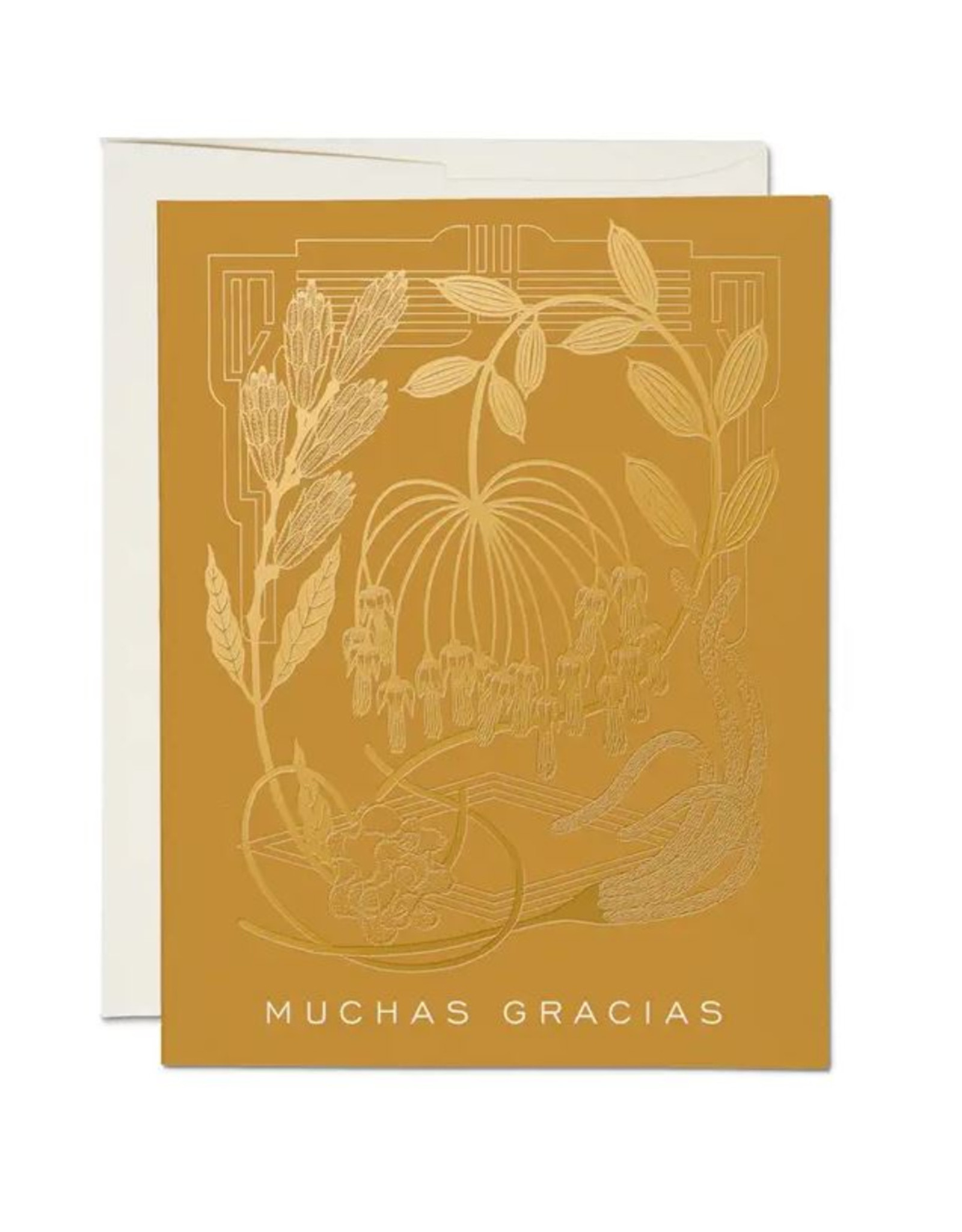 Mustard Muchas Gracias Boxed Card Set