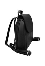 Leather Flap Backpack