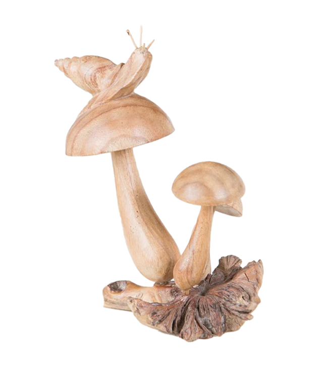 Snail on Mushroom