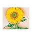 Georgia O'keeffe: Sunflowers Boxed Notecards
