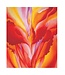 Georgia O'Keeffe Abstract Flowers Boxed Notecards