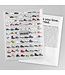 A Visual Compendium of Sneakers Print