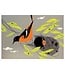 Charley Harper Postcard Book: Birds
