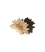 White Water Lily Hair Claw