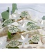 White Nymphaea Clip
