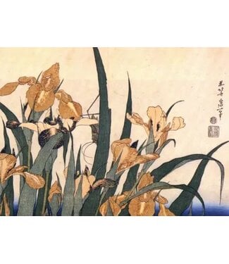 Hokusai Boxed Cards
