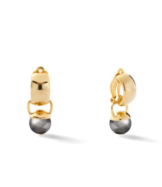 Sleek & Sculpted Ear Clips