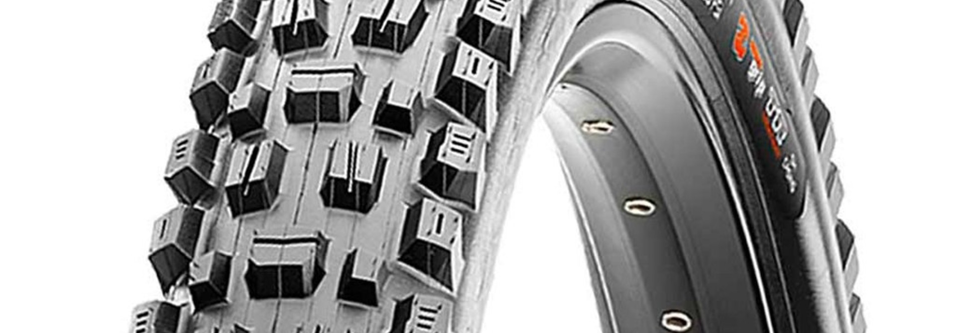 Maxxis Assegai 29"