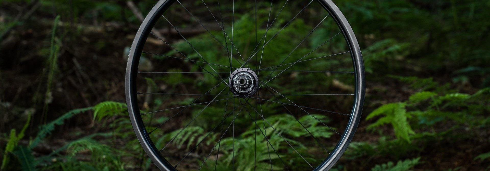 mtb wheel builder near me