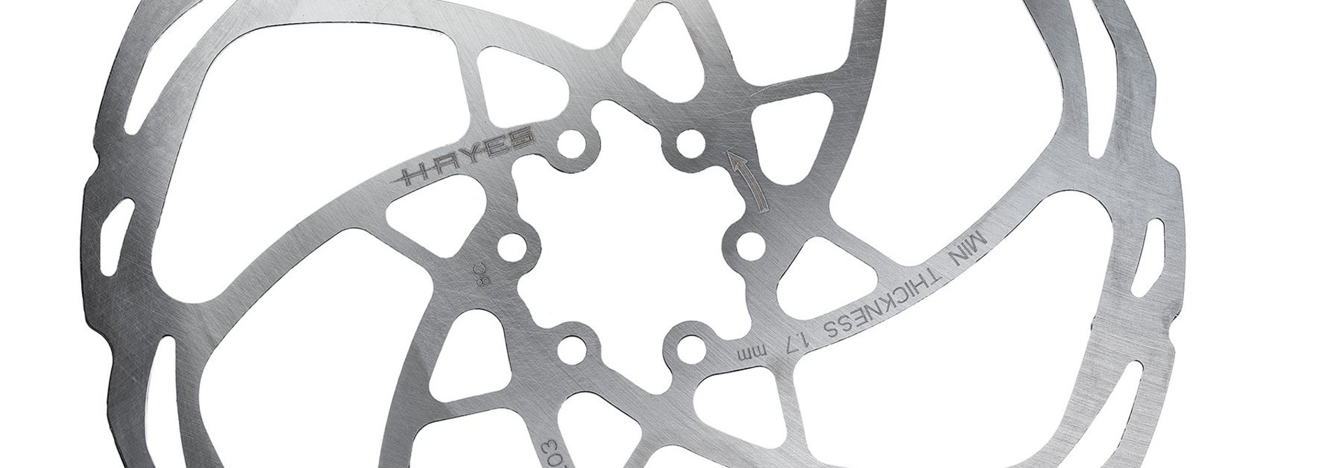 Hayes D-Series Disc Brake Rotor - 203mm, 6-Bolt, Silver