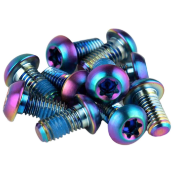 SRAM SRAM T25 Titanium Rainbow Rotor Bolts (x12)