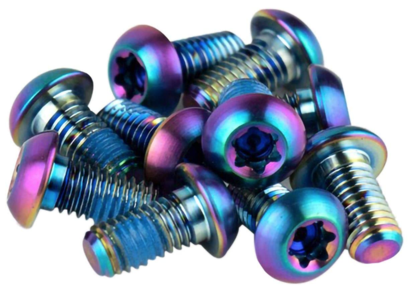 SRAM SRAM T25 Titanium Rainbow Rotor Bolts x 12