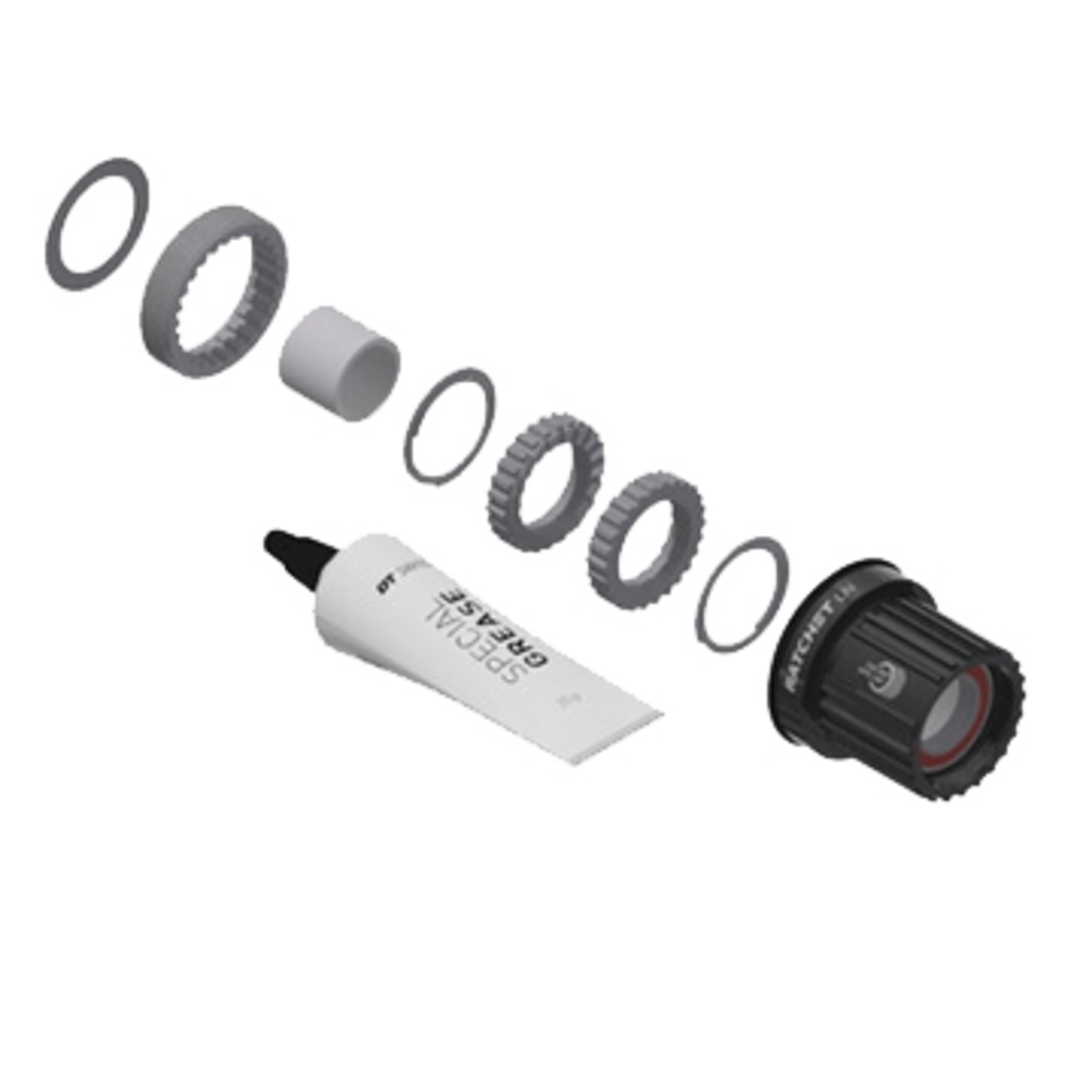 DT Swiss Ratchet LN Conversion Kit The Inside Line Mountain Bike