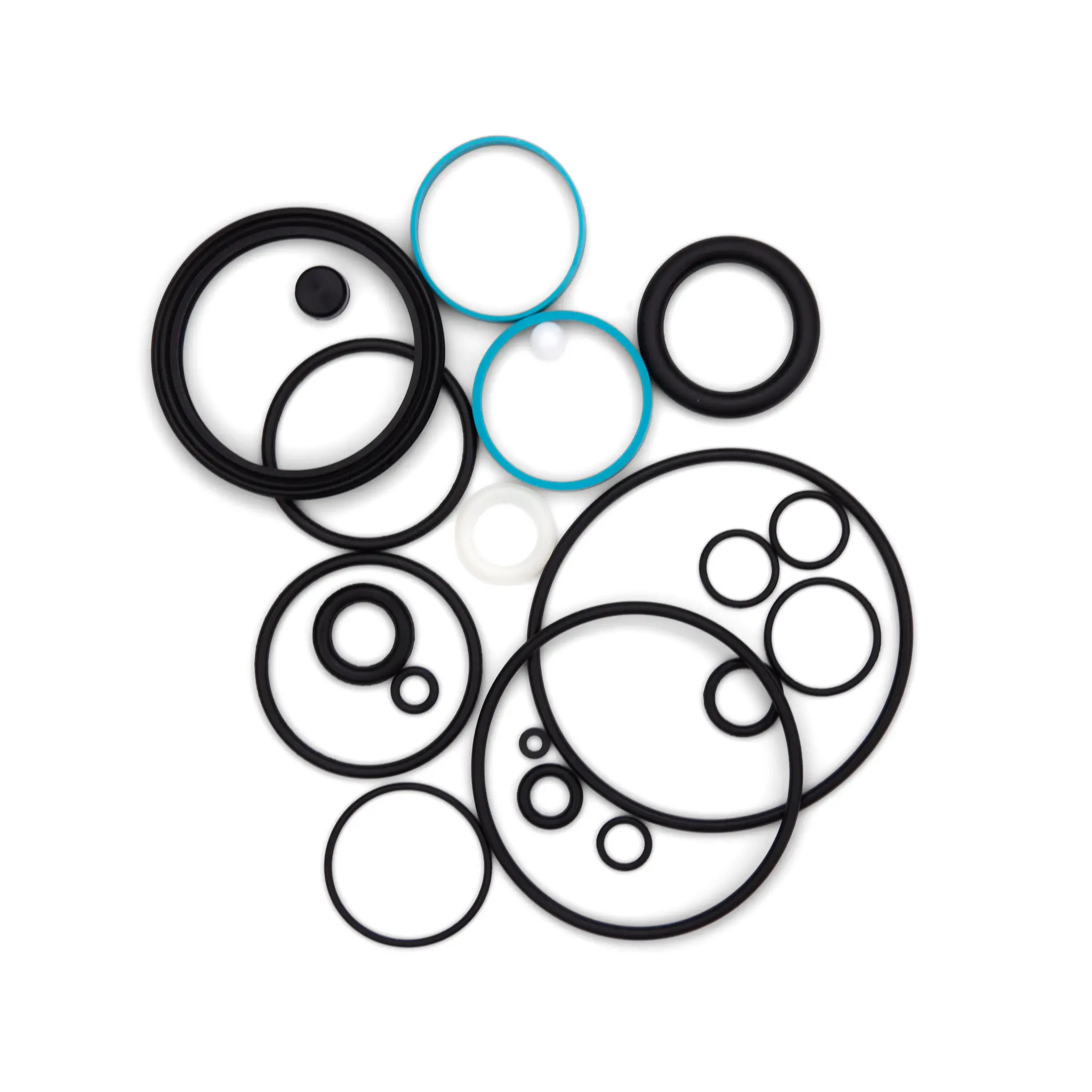 Fox Seal Kit Float CTD DPS R RP2 RP23 Dish BV Rebuild The Inside Line Mountain Bike Service Ltd.